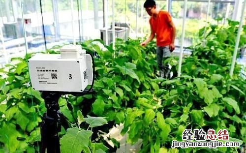 如何看待互联网行业