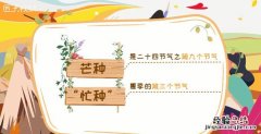 芒种是什么意思