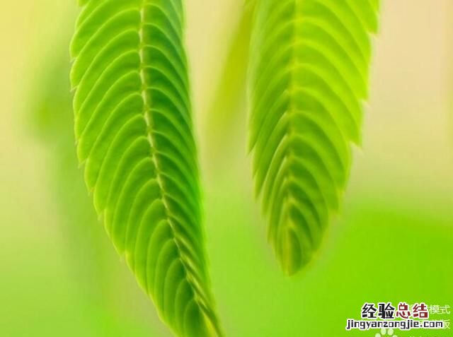 我的win10为什么显示测试模式
