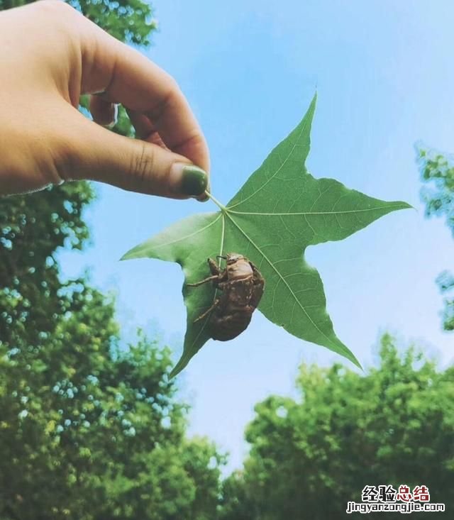 我情商较低,经常因为嘴快脑慢而说出一些不合适的话,表达也不是很好,如何去改变