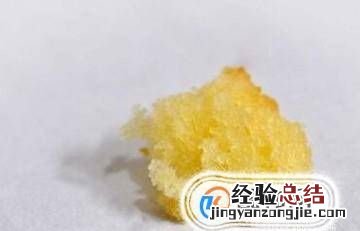蝌蚪吃什么