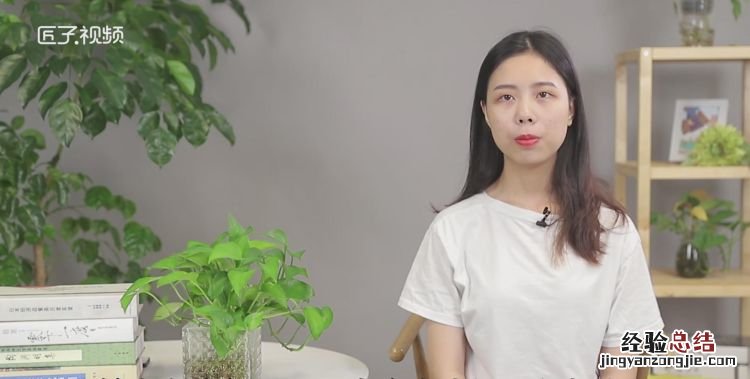 紫色代表什么,紫色代表着什么含义