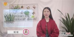 张飞怎么死的，诸葛亮、刘备、关羽、张飞、赵云、是怎么死的