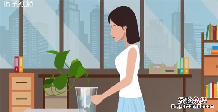 水培植物有哪些，室内大型水培植物有哪些