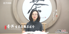 普洱茶生茶和熟茶的区别