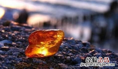 琥珀是怎样形成的