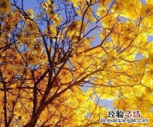 大学生实习有什么好的建议
