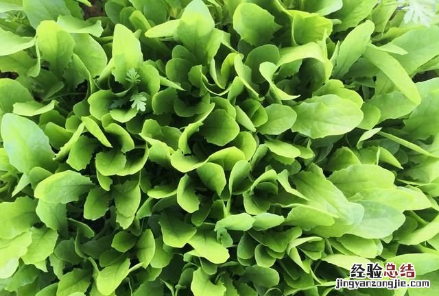 如何做好企业所得税汇算清缴,企业所得税汇算清缴的操作步骤