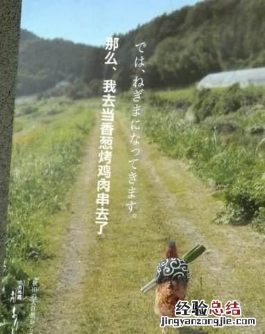 文案策划，如何面试文案策划