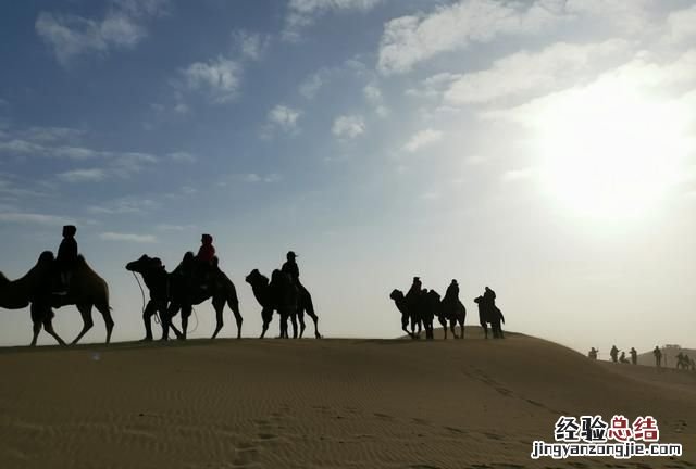 胡杨林在什么地方，和田胡杨林在什么地方