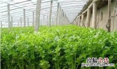 有什么比较容易生财的好方法
