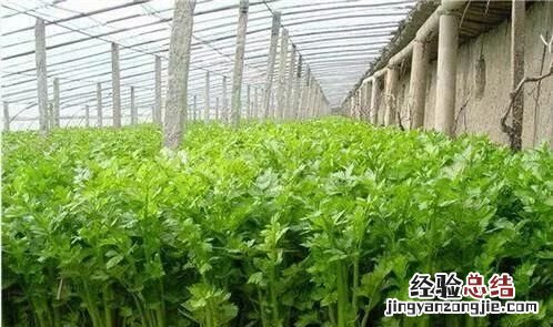 有什么比较容易生财的好方法