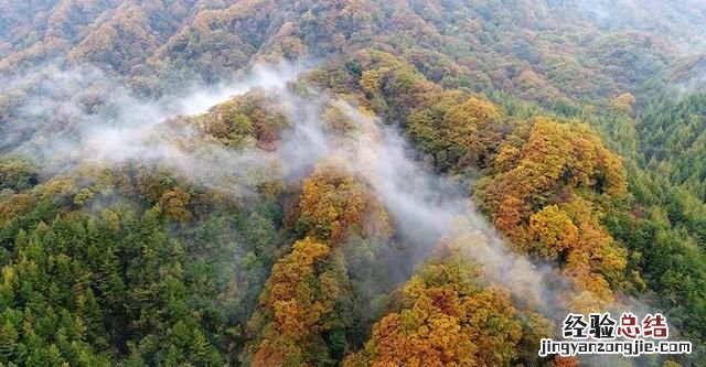 白露是什么意思,24节气中的白露和寒露是什么意思