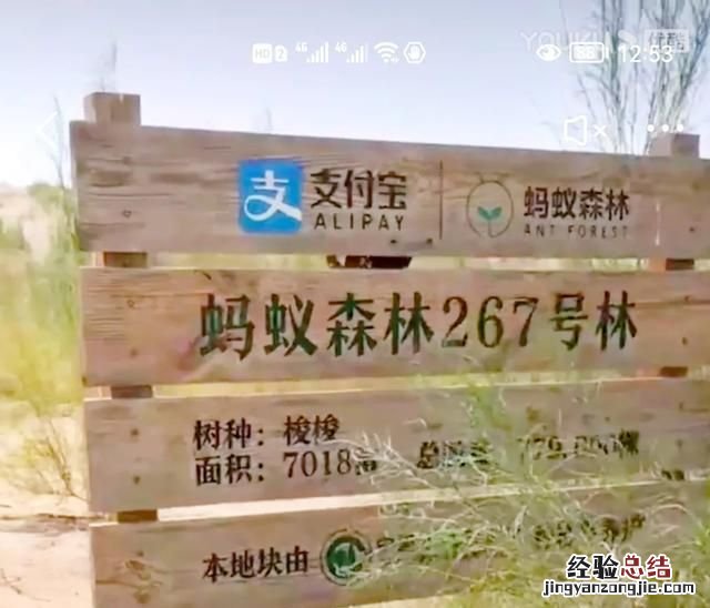 大家用支付宝花呗的有多少额度