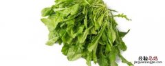 荠菜是什么菜，荠菜是什么科