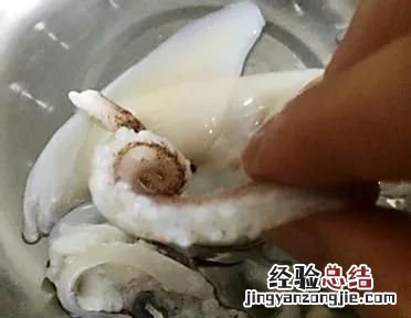鱿鱼怎样切片教程 鱿鱼怎样切才会卷起来