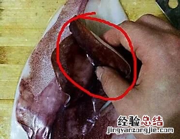 鱿鱼怎样切片教程 鱿鱼怎样切才会卷起来