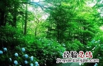 怎么进行学龄前教育,学龄前期怎么教育