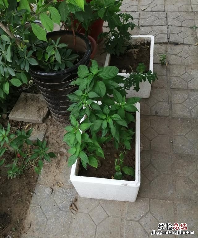 累到底能分几个层次呢