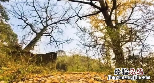 怎样才能成为一名大学教授？