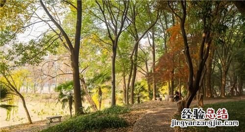 怎样才能成为一名大学教授？
