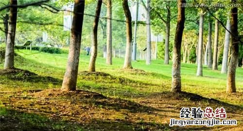 怎样才能成为一名大学教授？