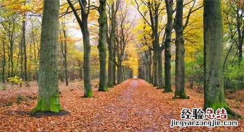 怎样才能成为一名大学教授？