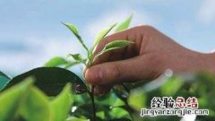 中老年人一个人生活好吗
