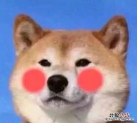 女生换微信头像什么意思 微信头像换了代表什么