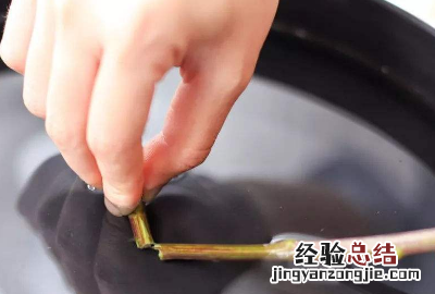 鲜花怎么保鲜