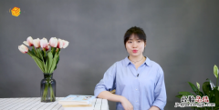 model是什么意思