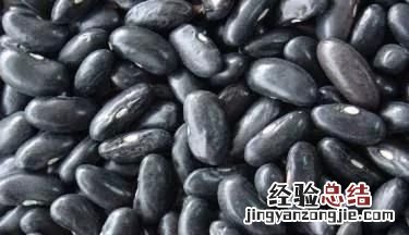 黑豆和黑芸豆的区别,黑豆和黑芸豆有什么区别