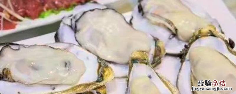 生蚝怎么打开