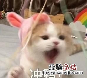 怎么在ppt做动态图表 怎样利用ppt制作动态图表