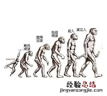 人为什么叫人 不叫别的