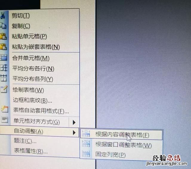 如何调整word表格中的行高列宽