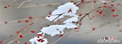 雪是怎么形成的，露霜云雾雨和雪是怎么形成的答案简短