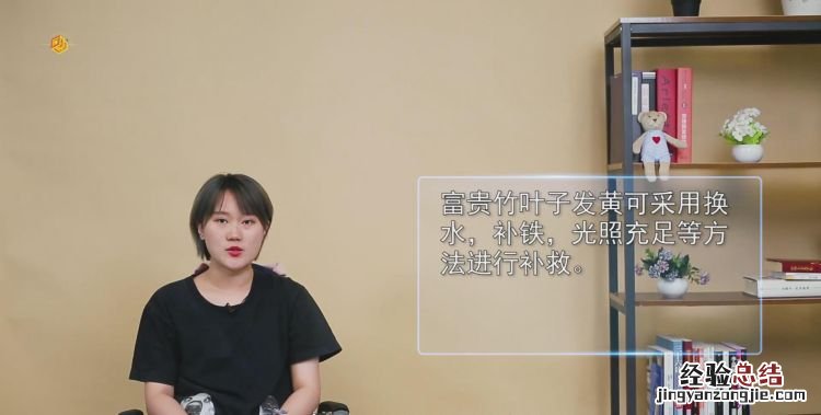 富贵竹叶子发黄怎么救，富贵竹叶子中间发黄怎么救