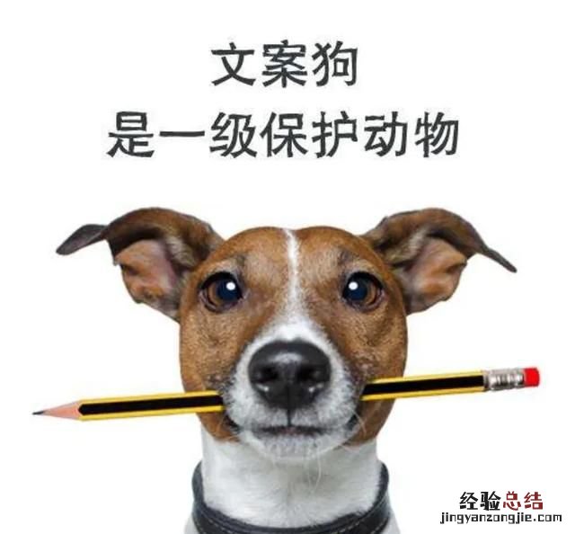 广告行业的文案和策划有什么区别