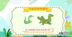 冷血动物有哪些，冷血卵生物有哪些