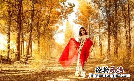 胡杨林最美的地方在哪，胡杨林最美的地方在哪里