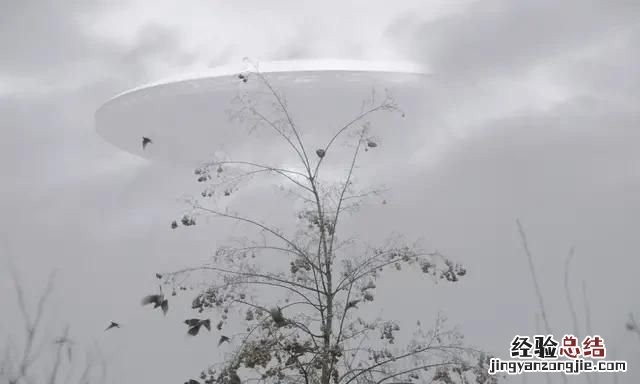 雾和霾的区别是什么 雾和霾有什么区别吗