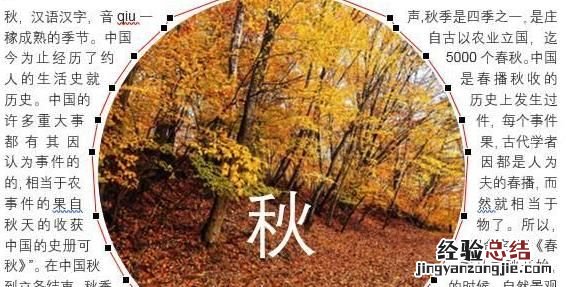 word如何让文字紧密环绕图片显示