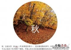 word如何让文字紧密环绕图片显示