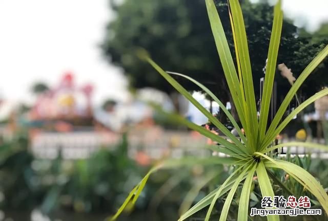 领导不喜欢你的八种表现，领导不喜欢你的表现