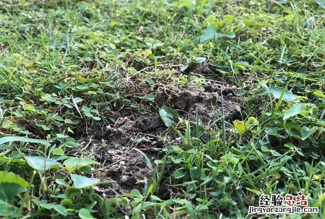 领导不喜欢你的八种表现，领导不喜欢你的表现