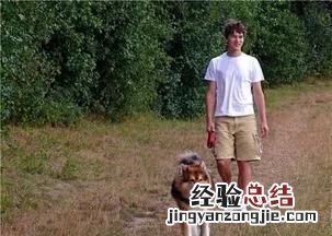 舔狗是什么意思网络用语，网络用语舔狗是什么意思
