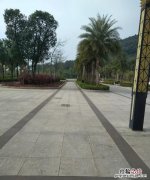 网络购物还是实体店购物