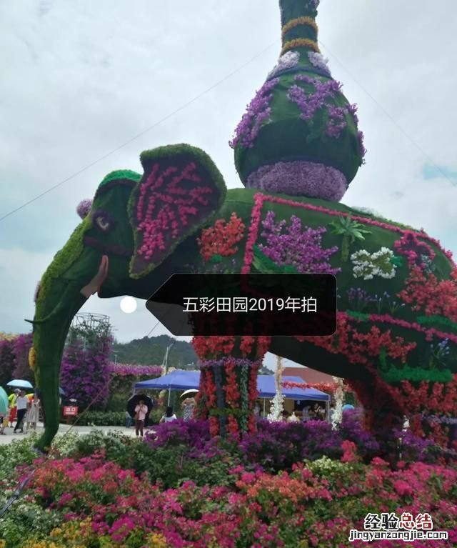 网络购物还是实体店购物
