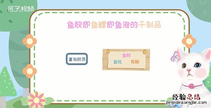鱼胶是什么